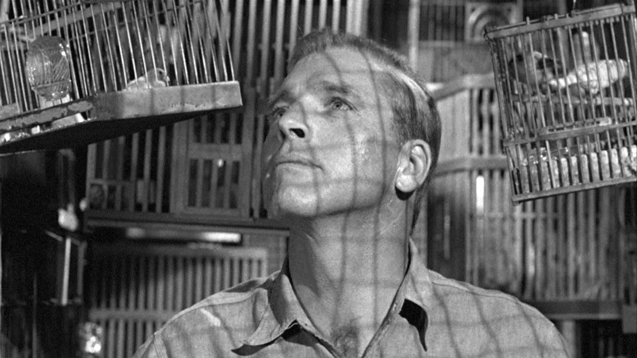 Birdman of Alcatraz / Alkatraz Kuşçusu