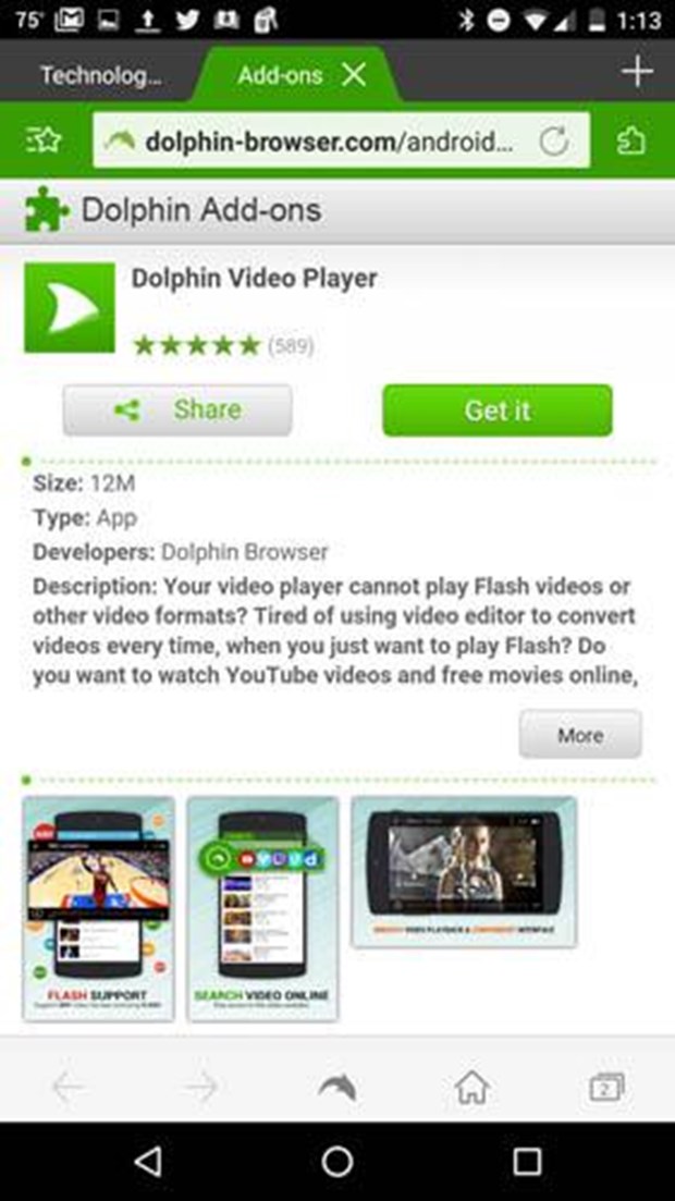 Dolphin