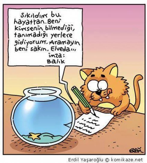 Karikatür