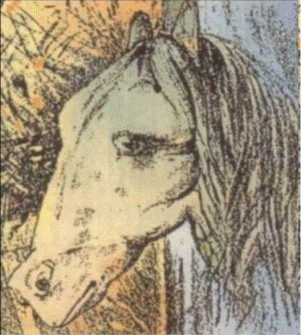 illüzyon at kurbağa