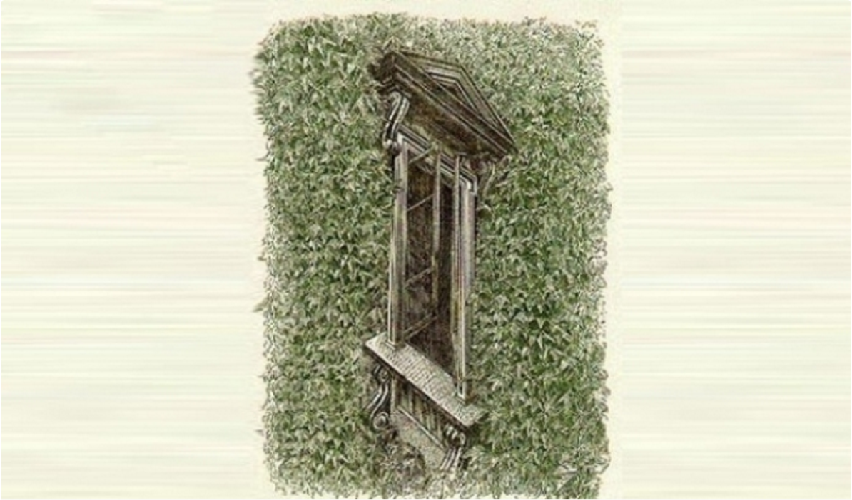 illüzyon pencere