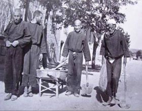 Hastaneden Kaçan Deliler